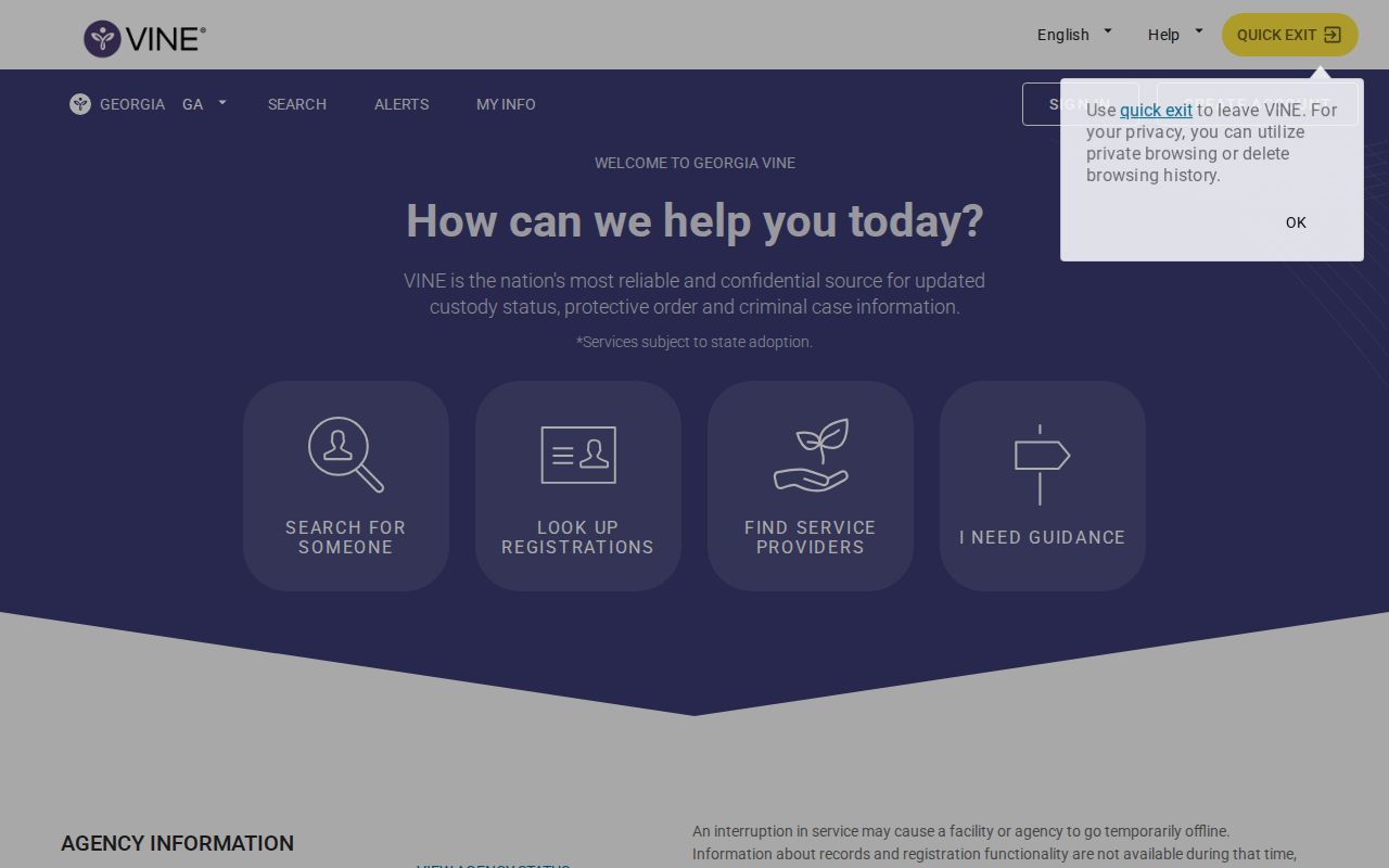 Georgia VINE search and notification registration entry screen